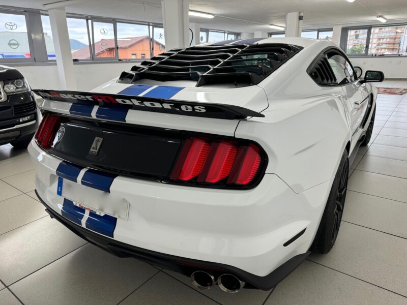 FORD COBRA SHELBY PERFORMANCE